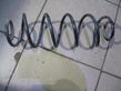 Rear coil spring