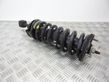 Front shock absorber/damper