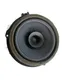 Rear door speaker