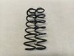 Rear coil spring