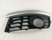 Front fog light trim/grill