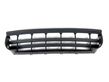 Front bumper lower grill