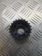 Fuel pump gear (pulley)