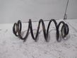 Rear coil spring