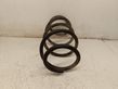 Front coil spring