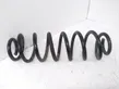 Rear coil spring