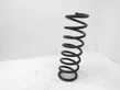 Rear coil spring