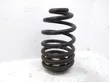 Rear coil spring