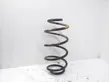 Front coil spring