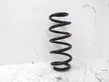 Rear coil spring