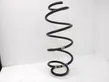 Front coil spring