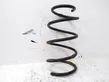 Front coil spring