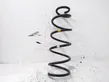 Rear coil spring