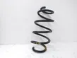 Front coil spring