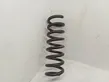 Rear coil spring