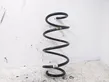 Front coil spring