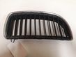 Front bumper upper radiator grill