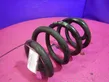 Front coil spring