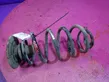 Rear coil spring