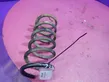 Rear coil spring