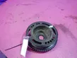 Crankshaft pulley