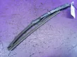 Rear wiper blade arm