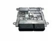 Engine control unit/module ECU