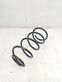 Front coil spring