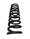 Rear coil spring