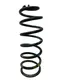 Rear coil spring