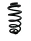 Rear coil spring