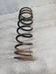 Rear coil spring