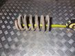 Front coil spring