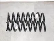 Front coil spring