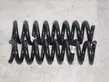 Rear coil spring