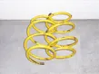 Front coil spring