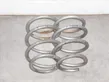 Front coil spring