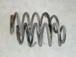 Front coil spring