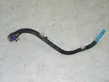 Fuel tank filler neck pipe