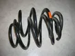 Front coil spring