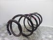 Front coil spring