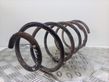 Front coil spring