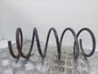 Front coil spring