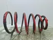 Front coil spring