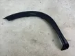 Fender trim (molding)