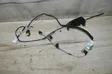 Tailgate/trunk wiring harness