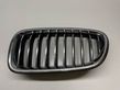 Front bumper upper radiator grill