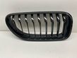 Front bumper upper radiator grill