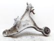 Front lower control arm/wishbone