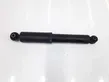 Rear shock absorber with coil spring